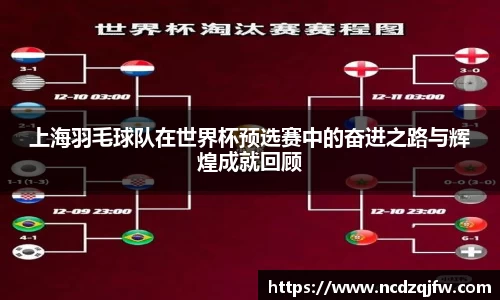 上海羽毛球队在世界杯预选赛中的奋进之路与辉煌成就回顾