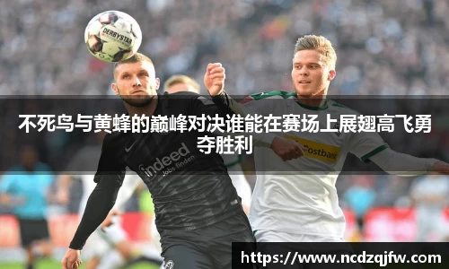 不死鸟与黄蜂的巅峰对决谁能在赛场上展翅高飞勇夺胜利