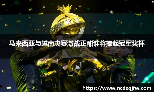 马来西亚与越南决赛激战正酣谁将捧起冠军奖杯